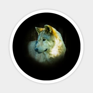 Wolf portrait Magnet